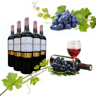 Rượu vang Chile Santo Molina